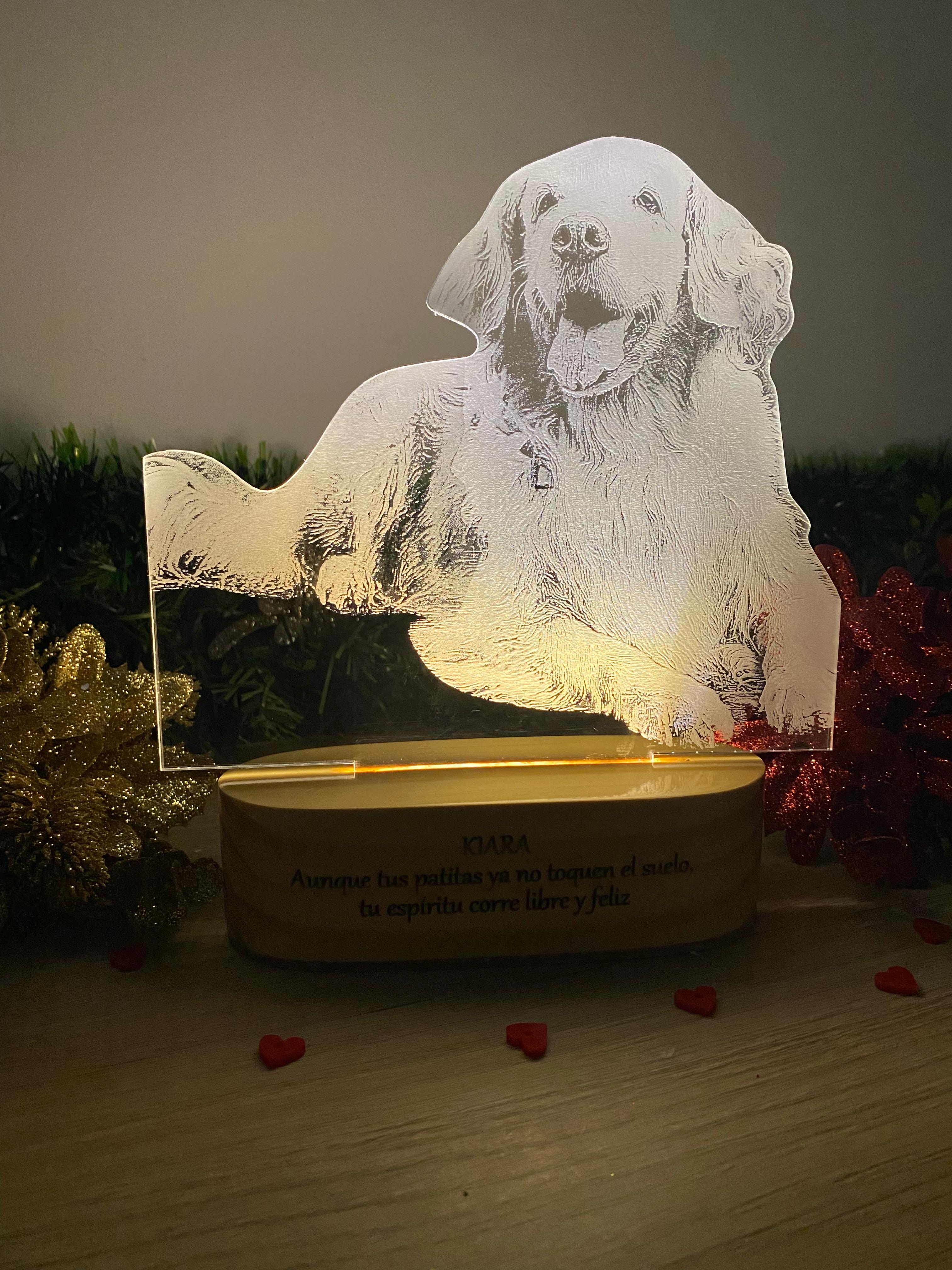 Lámpara led foto real grabada con base en madera